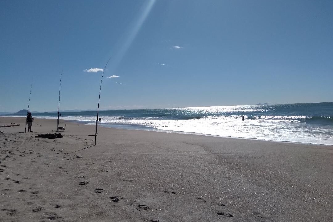Photo of Others in Papamoa Beach