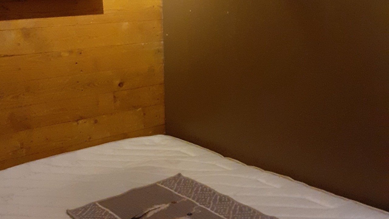 Photo of Bedroom in La Roche-sur-Foron
