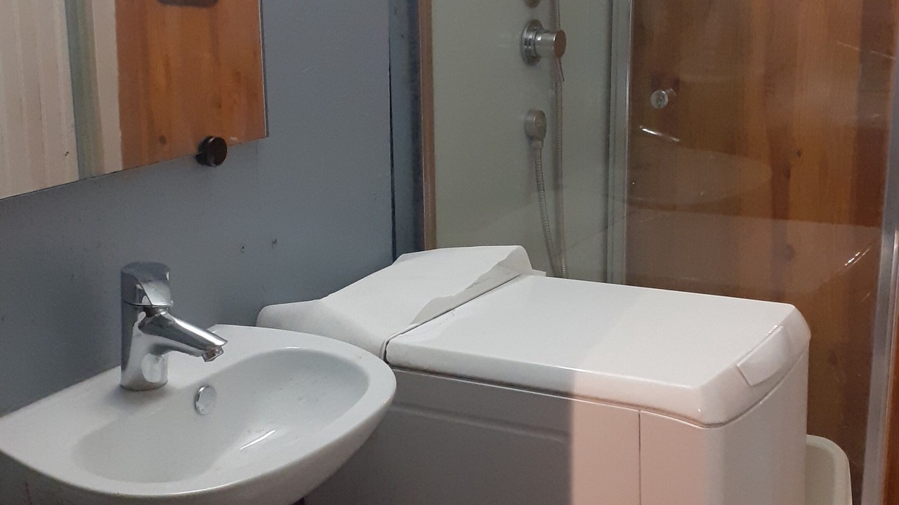 Photo of Bathroom in La Roche-sur-Foron