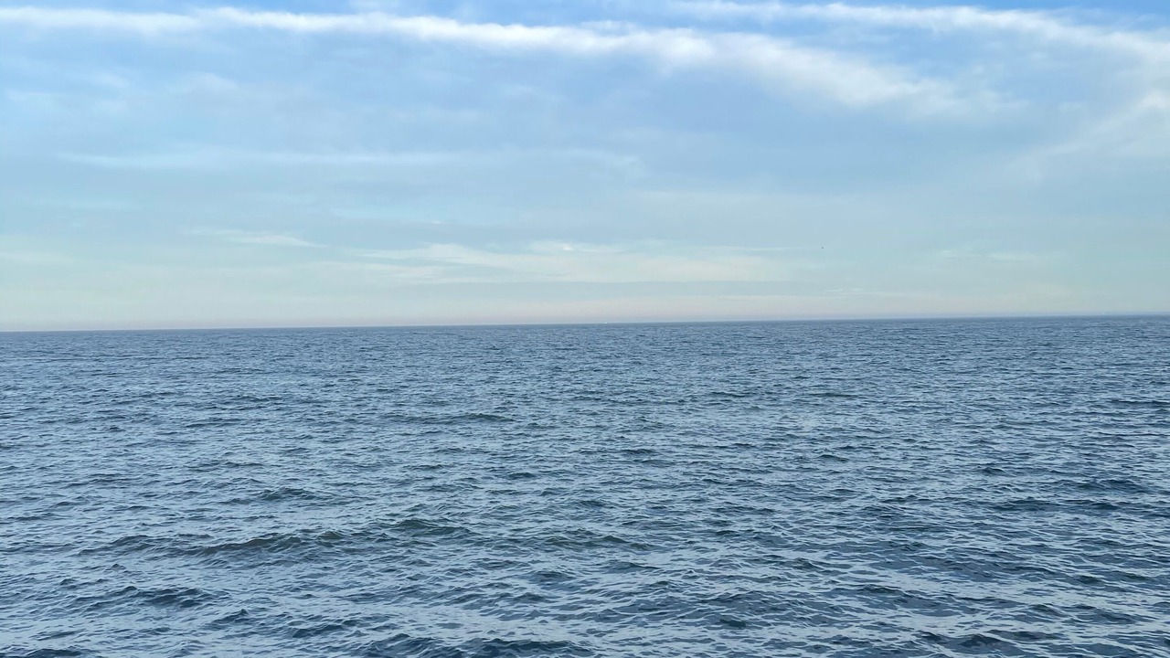 Photo of Others in Wells