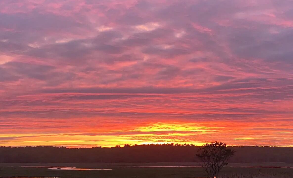 Photo of Others in Wells