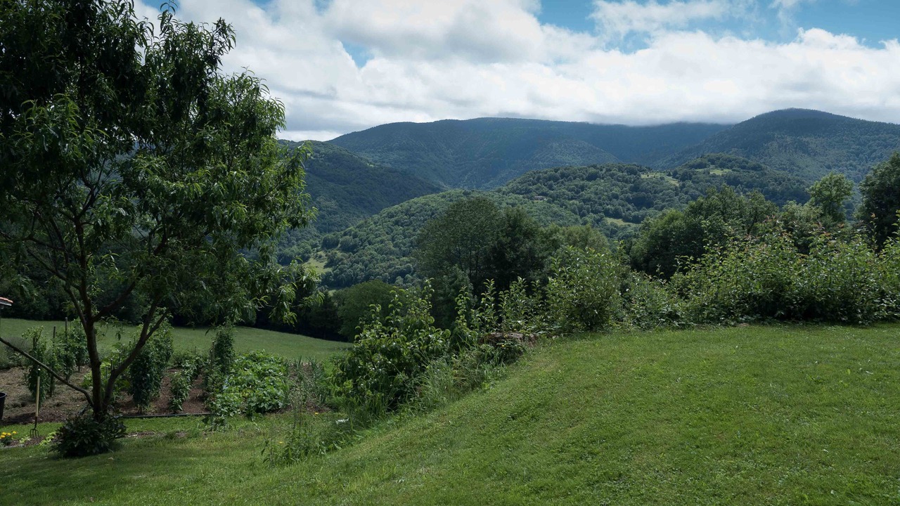 Photo of Outdoor in Esplas de Serou