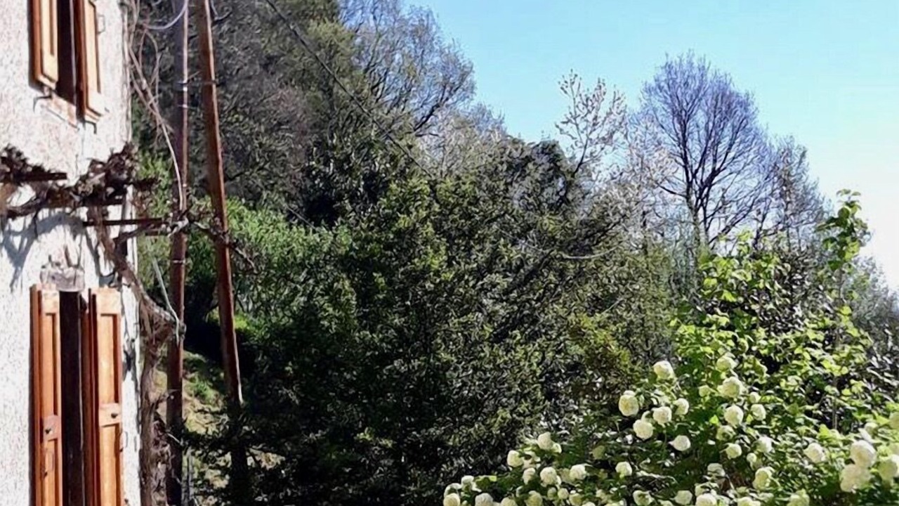 Photo of Outdoor in Esplas de Serou