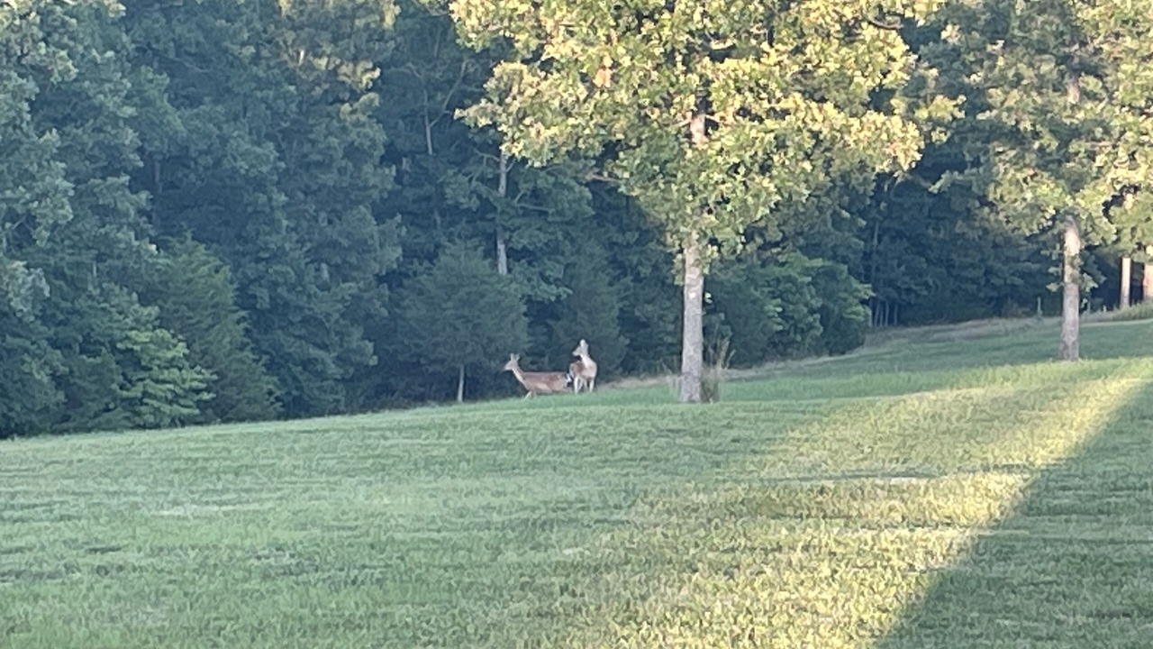 Photo of Outdoor in Gamaliel
