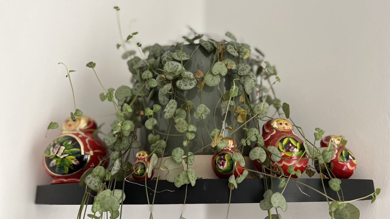 Photo of Others in Meaux