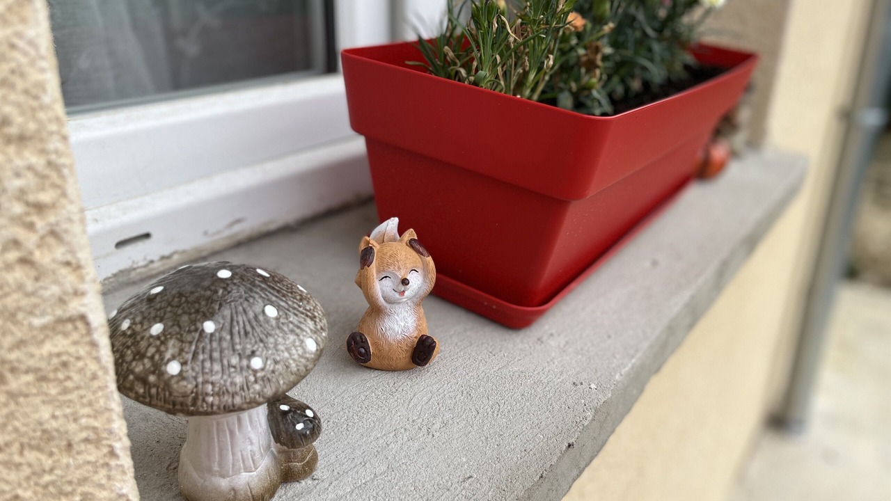 Photo of Outdoor in Meaux