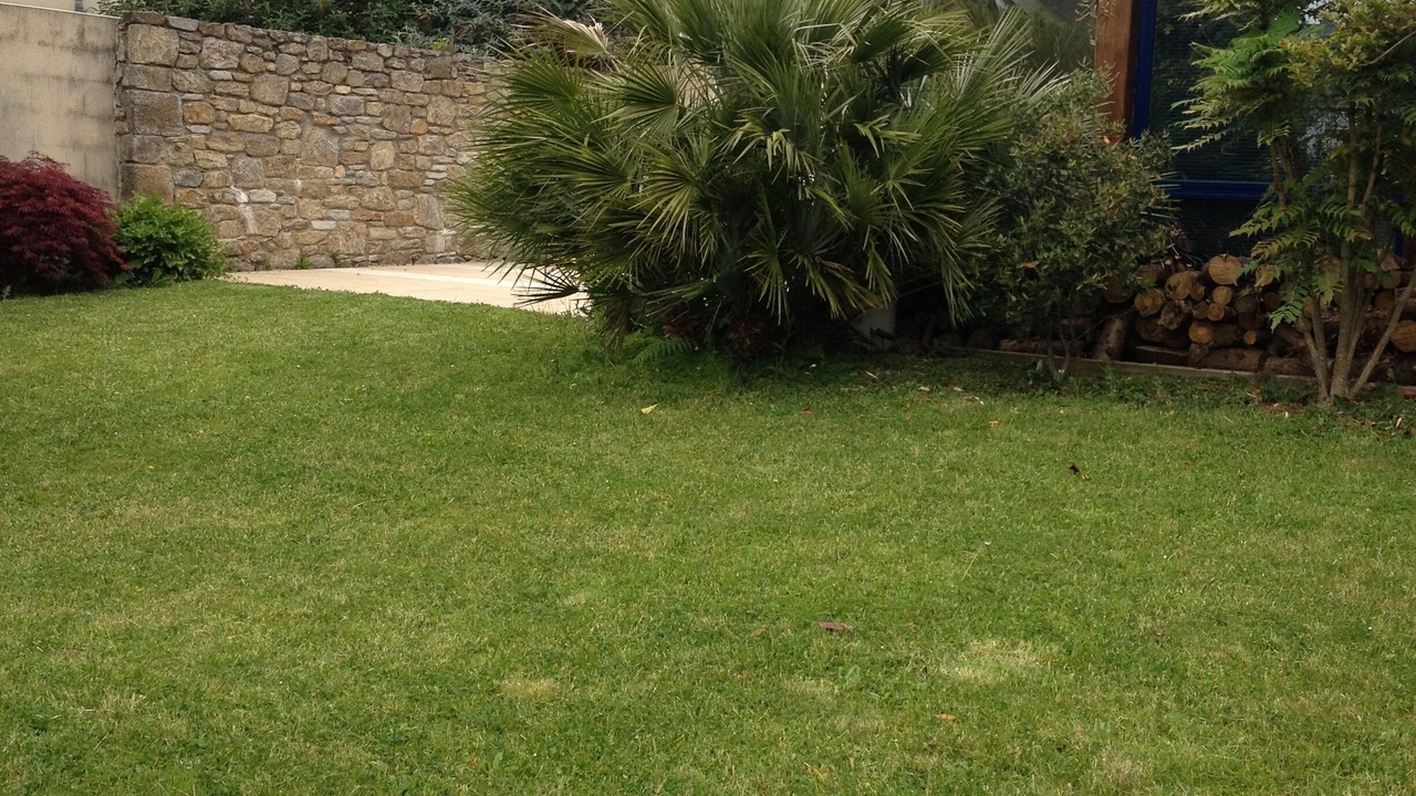 Photo of Outdoor in Dinard
