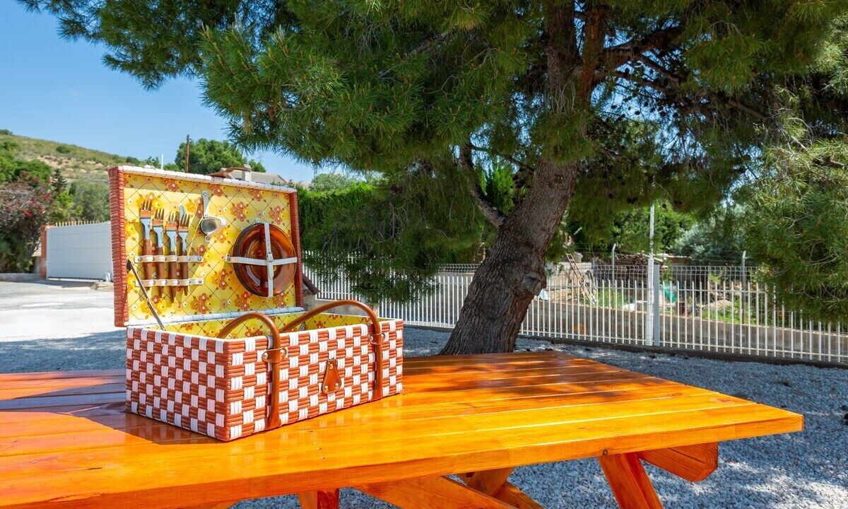 Photo of Outdoor in Elche