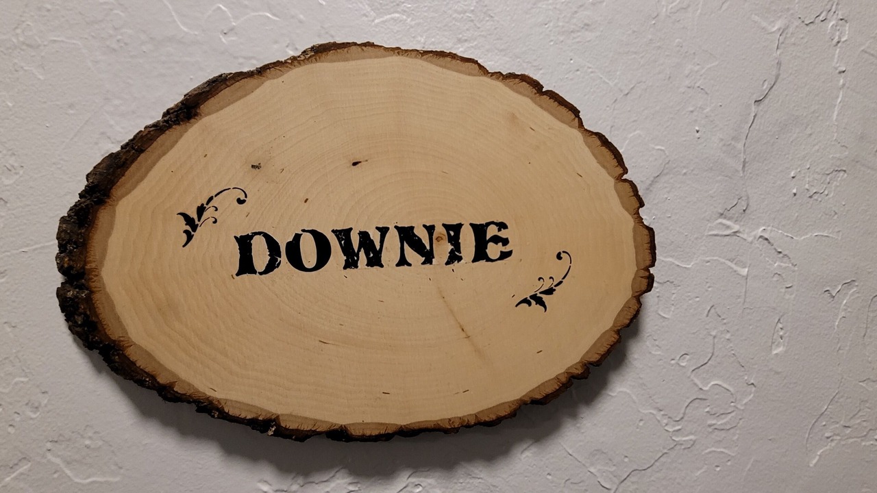 Photo of Others in Downieville