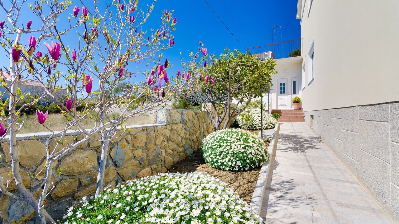 Photo of Outdoor in Banjol