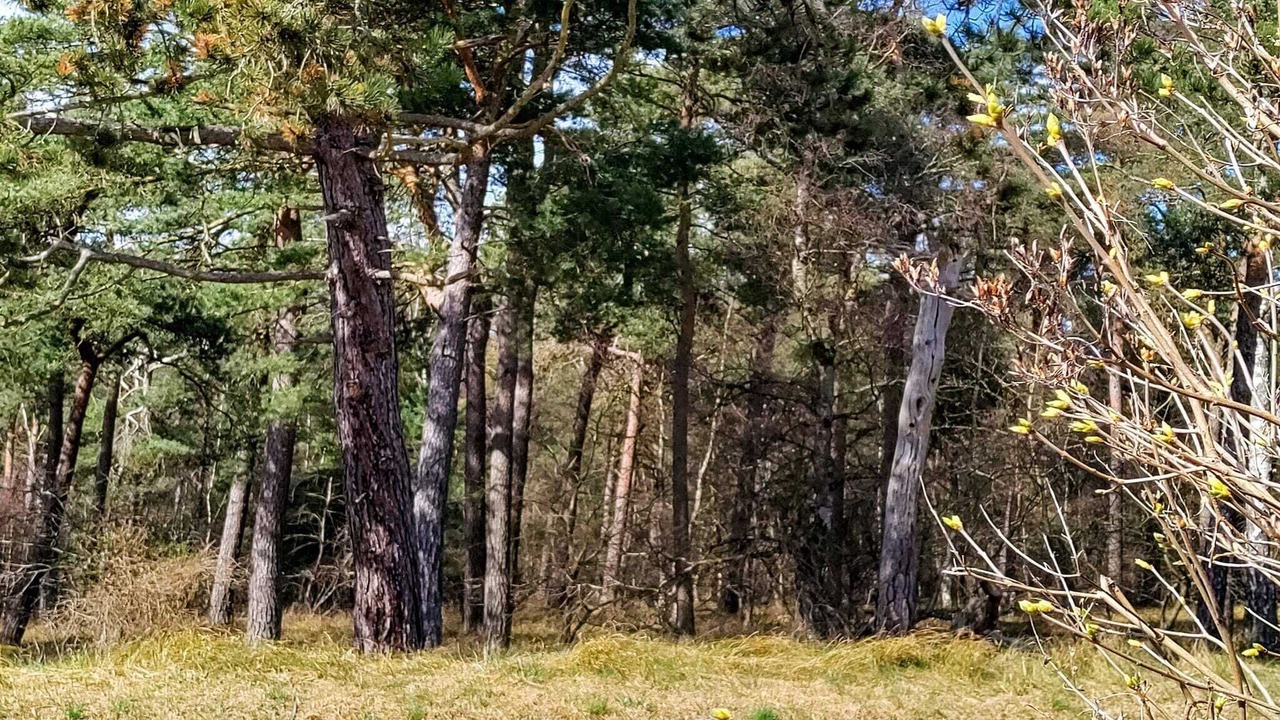 Photo of Others in Hojby