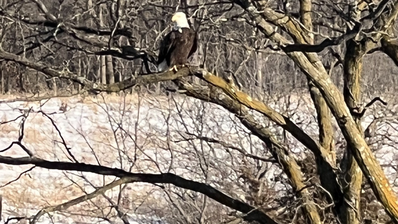 Photo of Others in Keosauqua