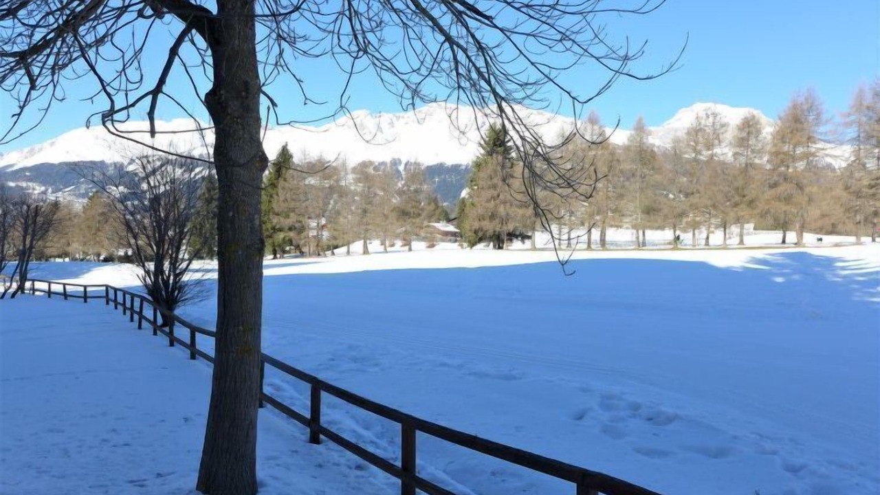 Photo of Outdoor in Lens