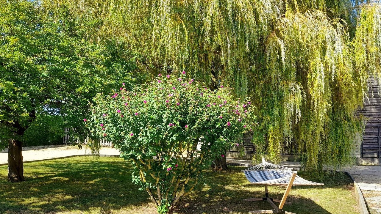 Photo of Outdoor in Corze