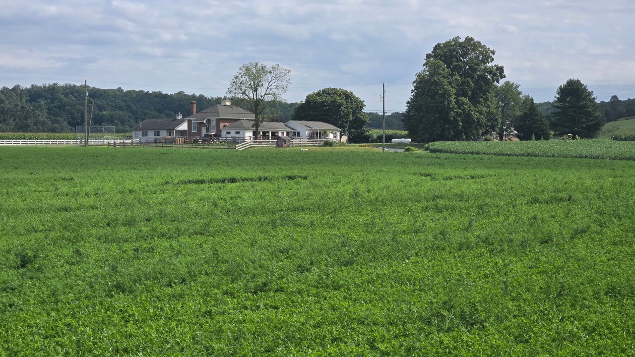 Photo of Others in Gap