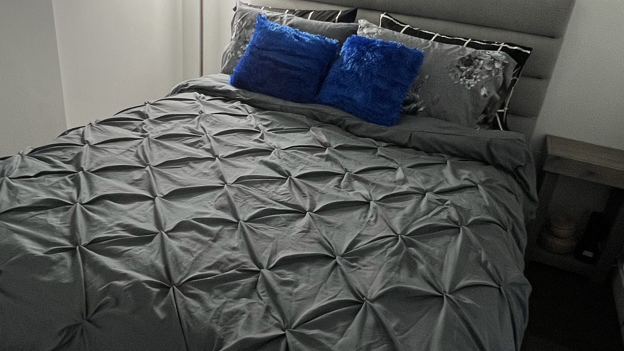 Photo of Bedroom in Downtown Winnipeg