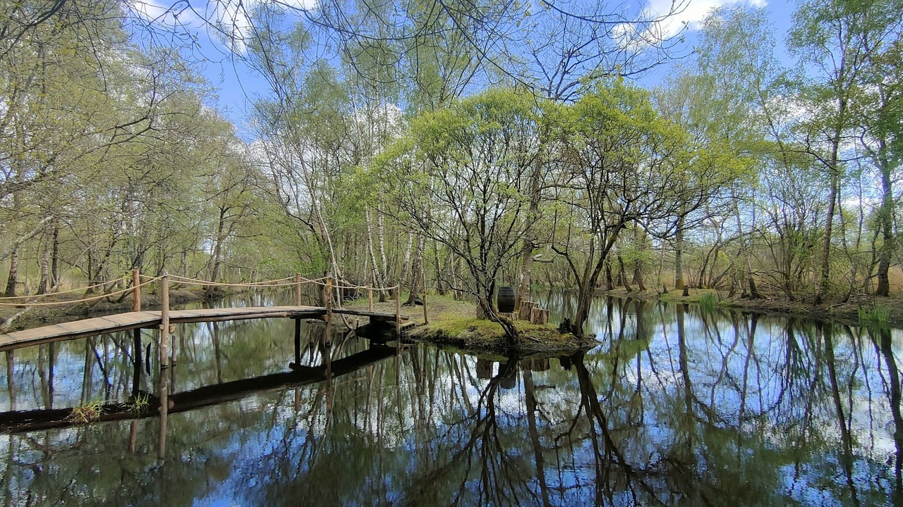 Photo of Outdoor in Herbignac