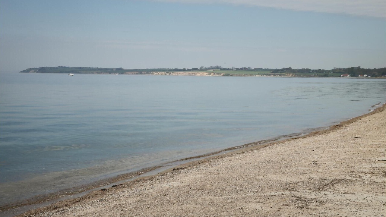 Photo of Others in Brydegaard