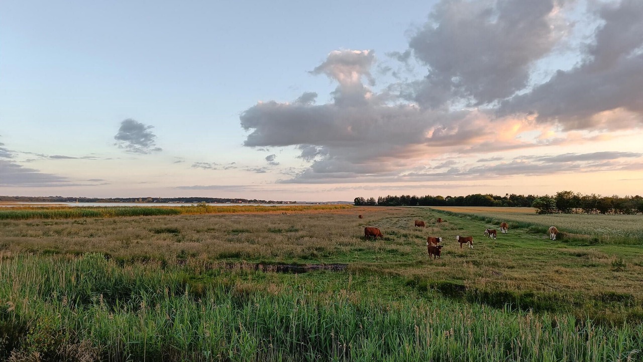 Photo of Others in Sødring