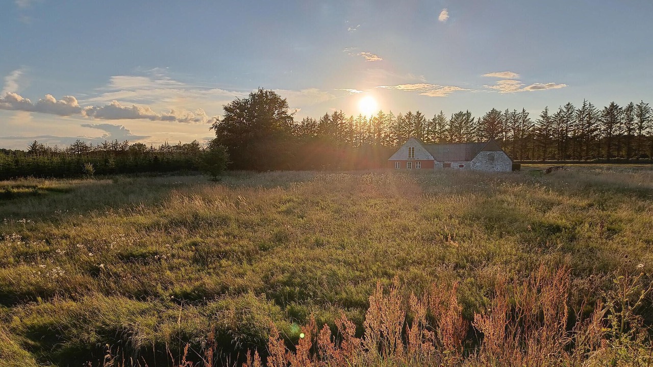 Photo of Others in Sødring