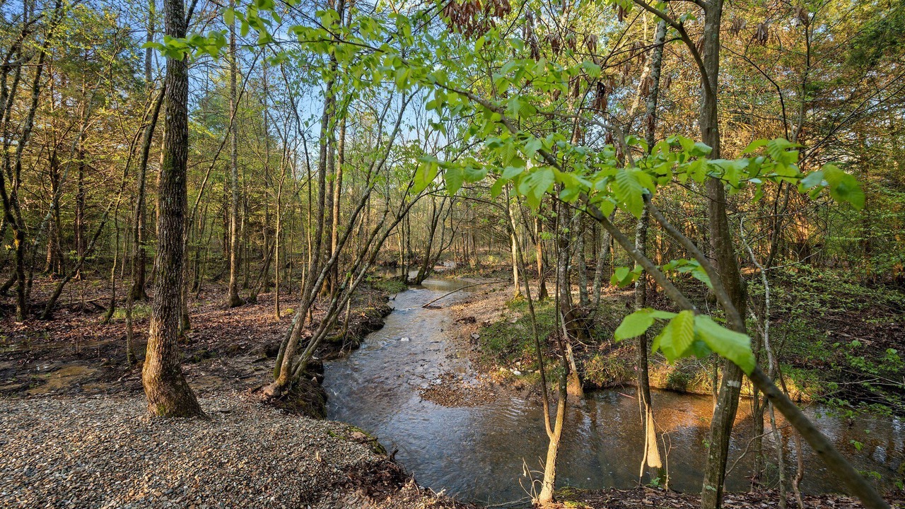 Photo of Others in Broken Bow
