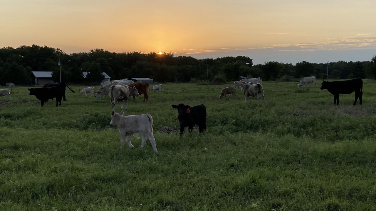 Photo of Outdoor in Durant