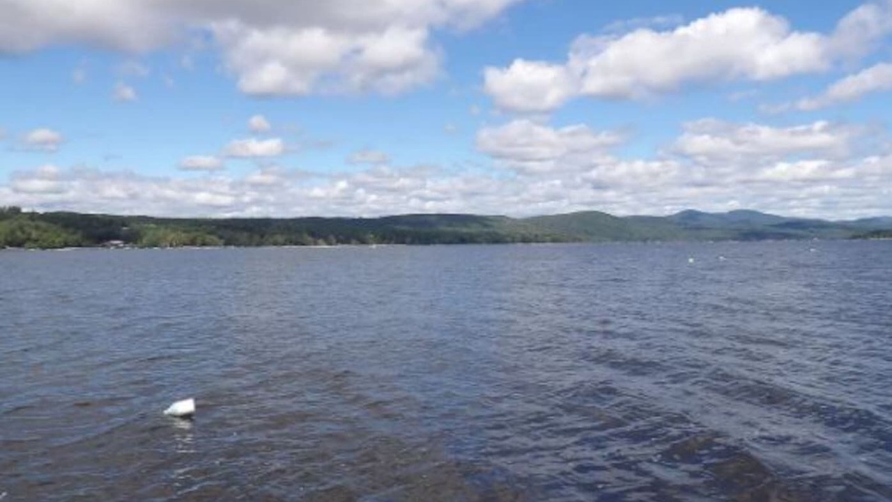 Photo of Others in Northville