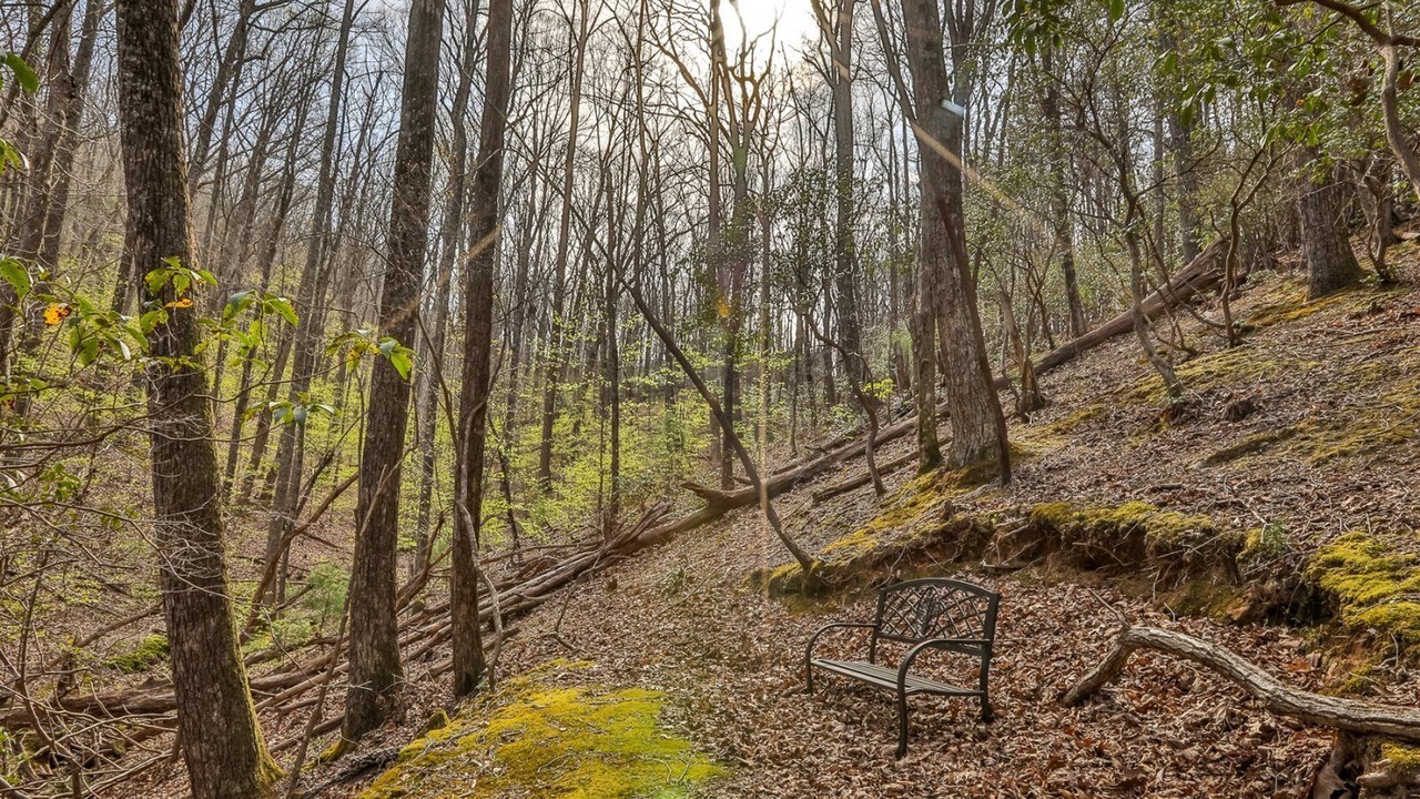 Photo of Others in Walnut Mountain