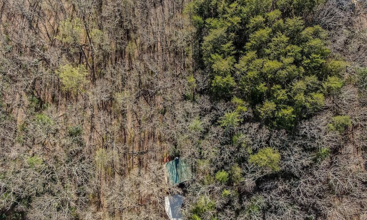 Photo of Others in Walnut Mountain