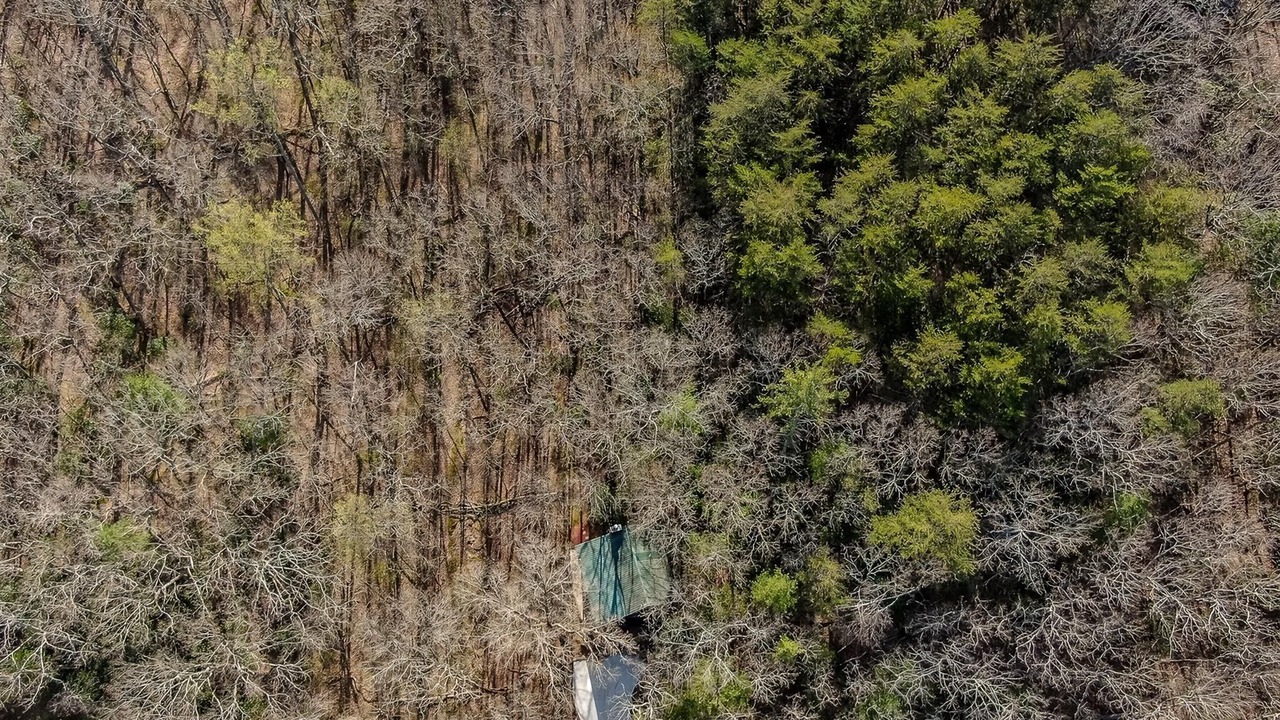 Photo of Others in Walnut Mountain