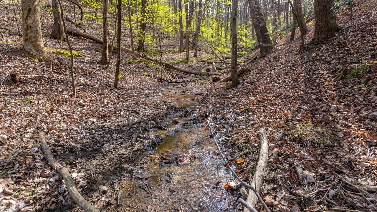 Photo of Others in Walnut Mountain