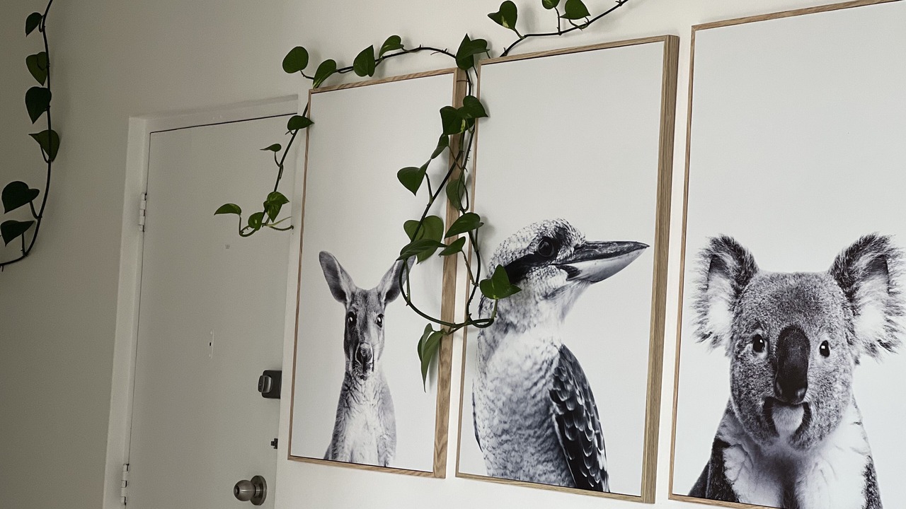 Photo of Others in Brighton-le-Sands