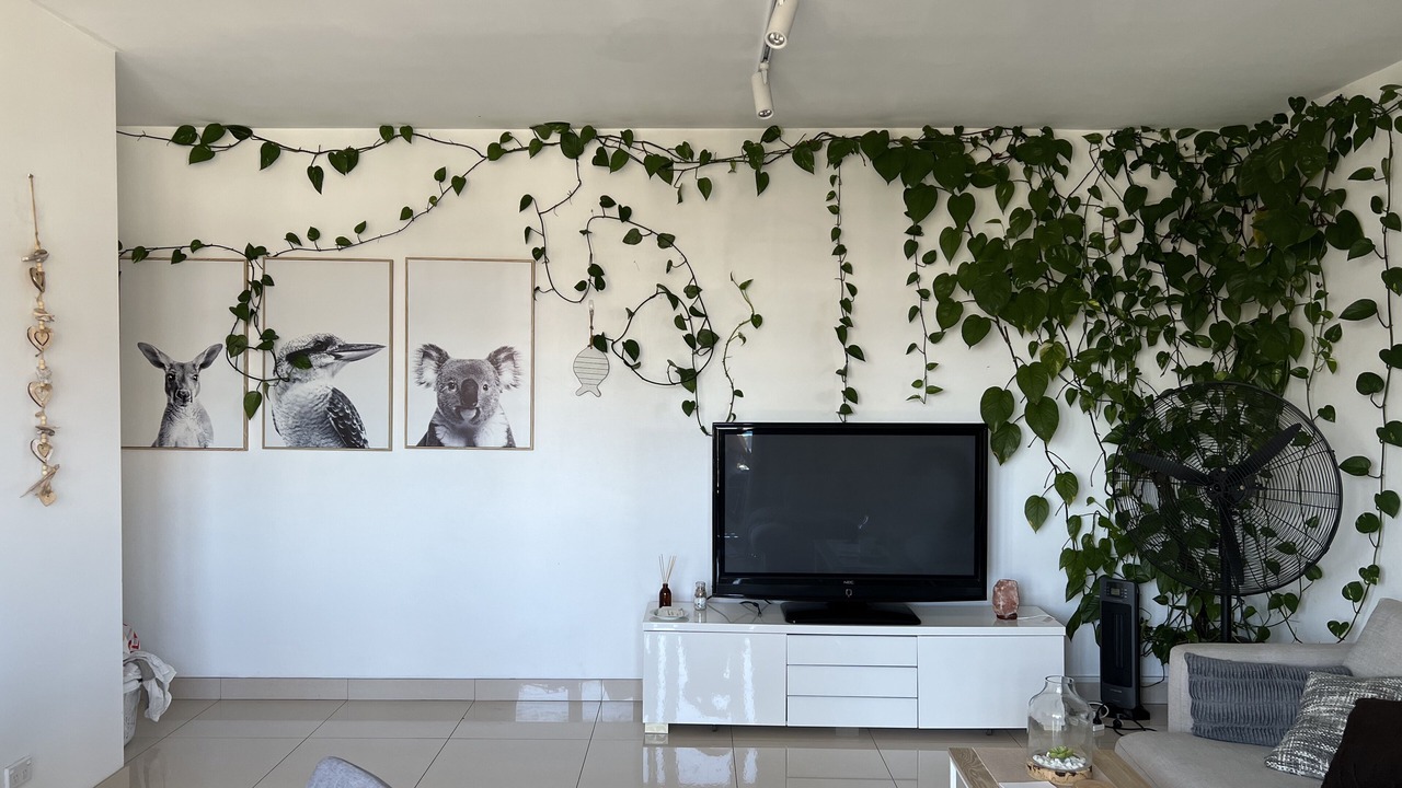 Photo of Livingroom in Brighton-le-Sands