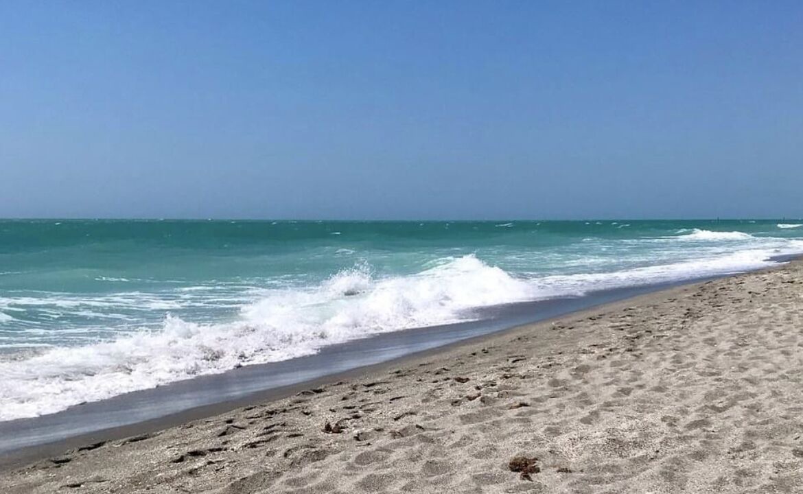 Photo of Others in Brighton-le-Sands