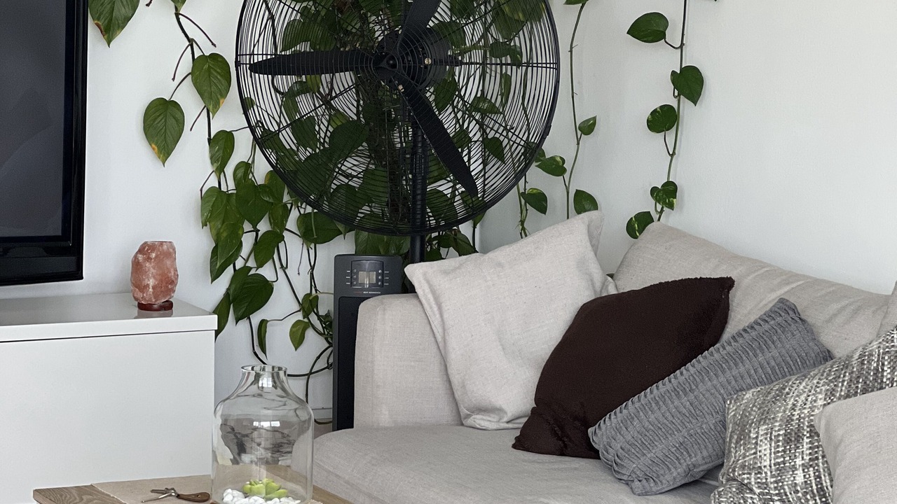 Photo of Livingroom in Brighton-le-Sands