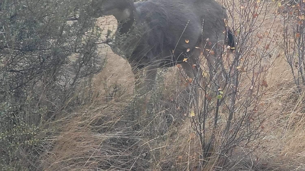 Photo of Others in Naches