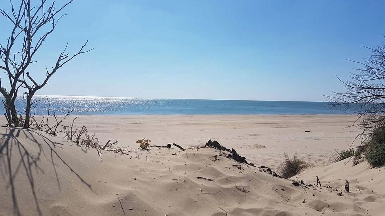 Photo of Others in Pons