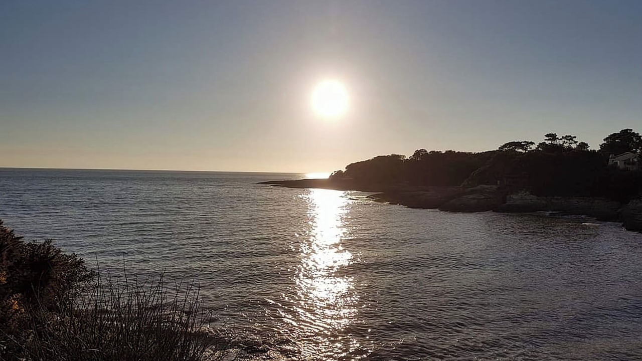 Photo of Others in Pons