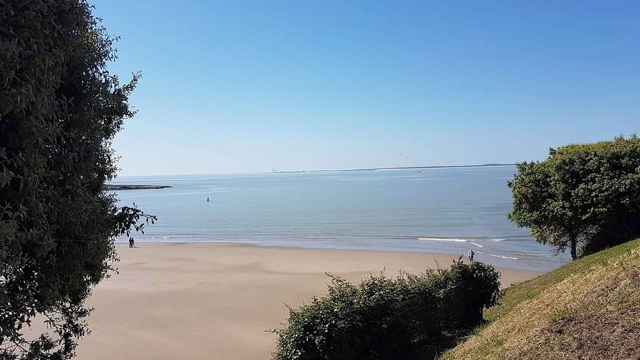 Photo of Others in Pons