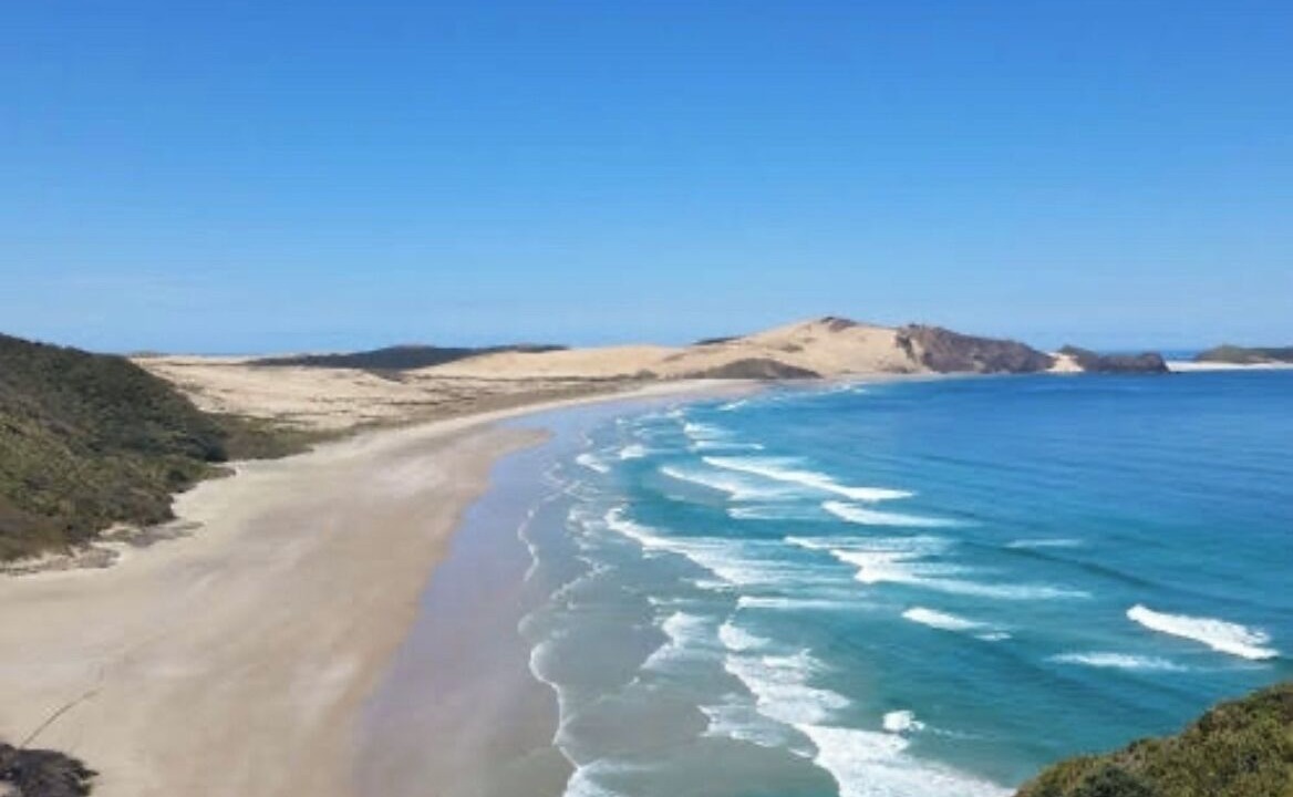 Photo of Others in Loch Sport