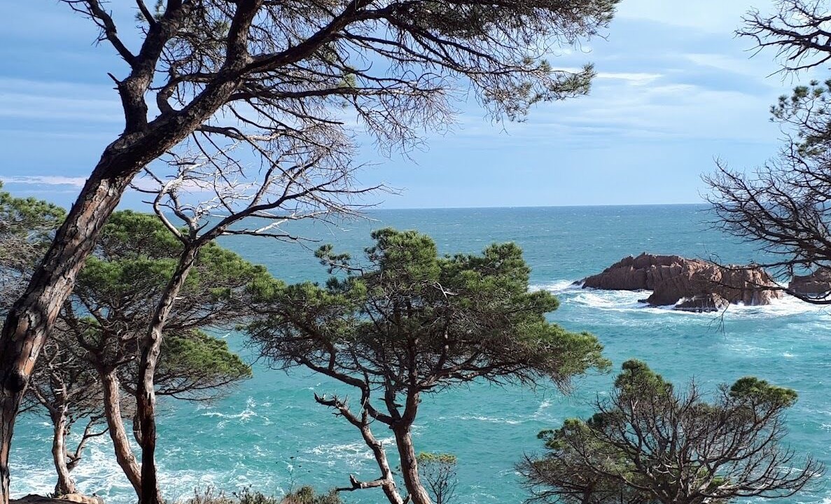 Photo of Others in Sant Feliu de Guixols