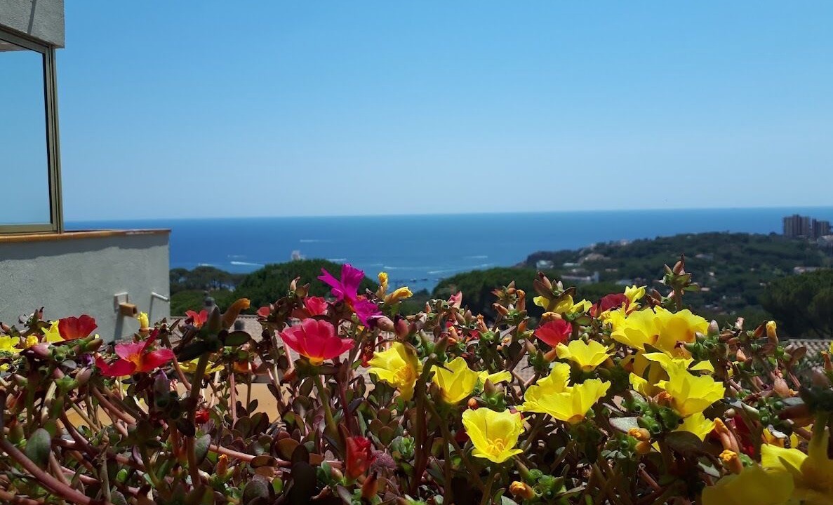 Photo of Outdoor in Sant Feliu de Guixols