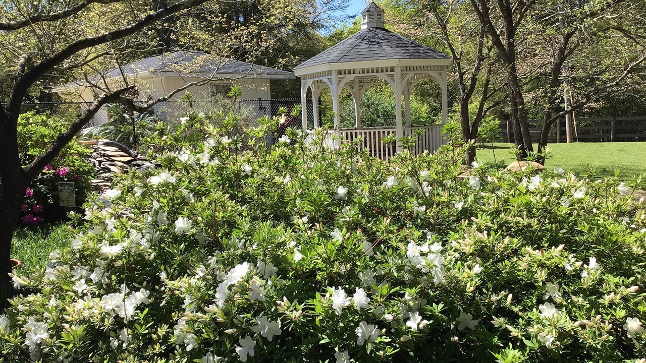 Photo of Outdoor in Aiken