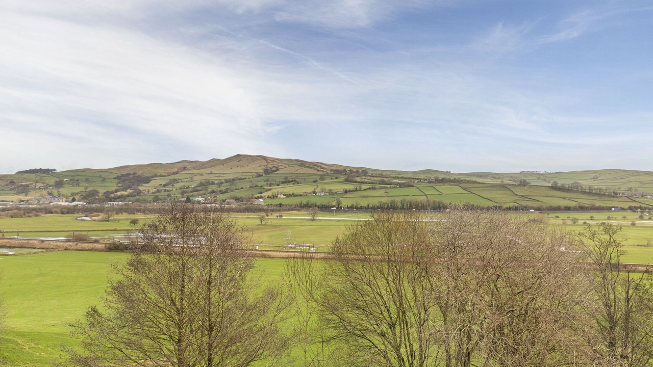 Photo of Others in Carleton