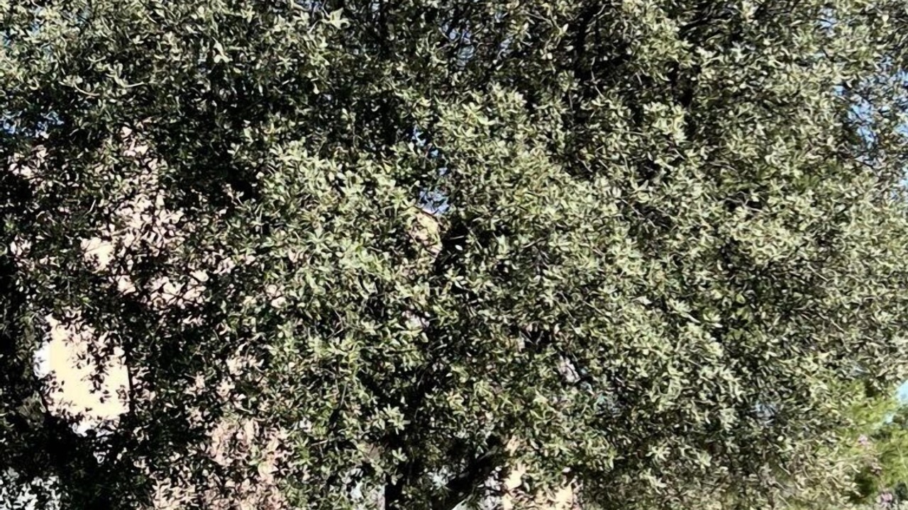 Photo of Outdoor in Cessenon-sur-Orb