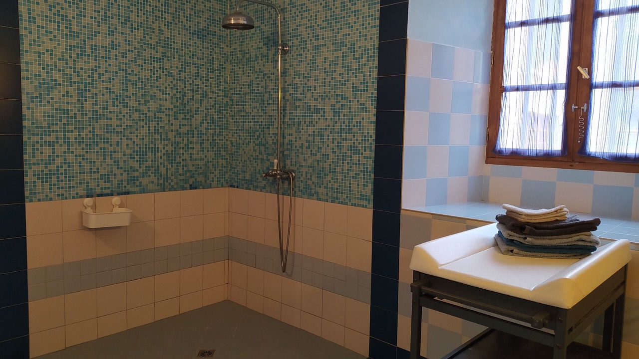Photo of Bathroom in Serres-sur-Arget