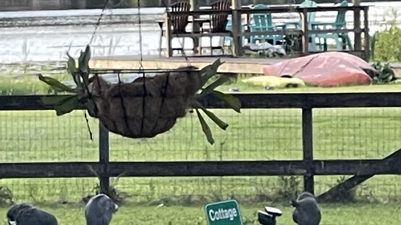 Photo of Outdoor in Keystone