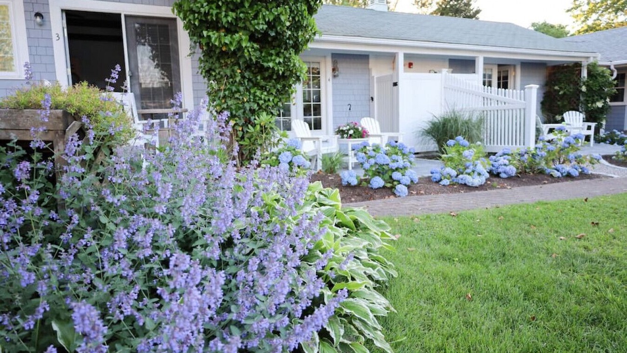Photo of Outdoor in Northwest Harwich