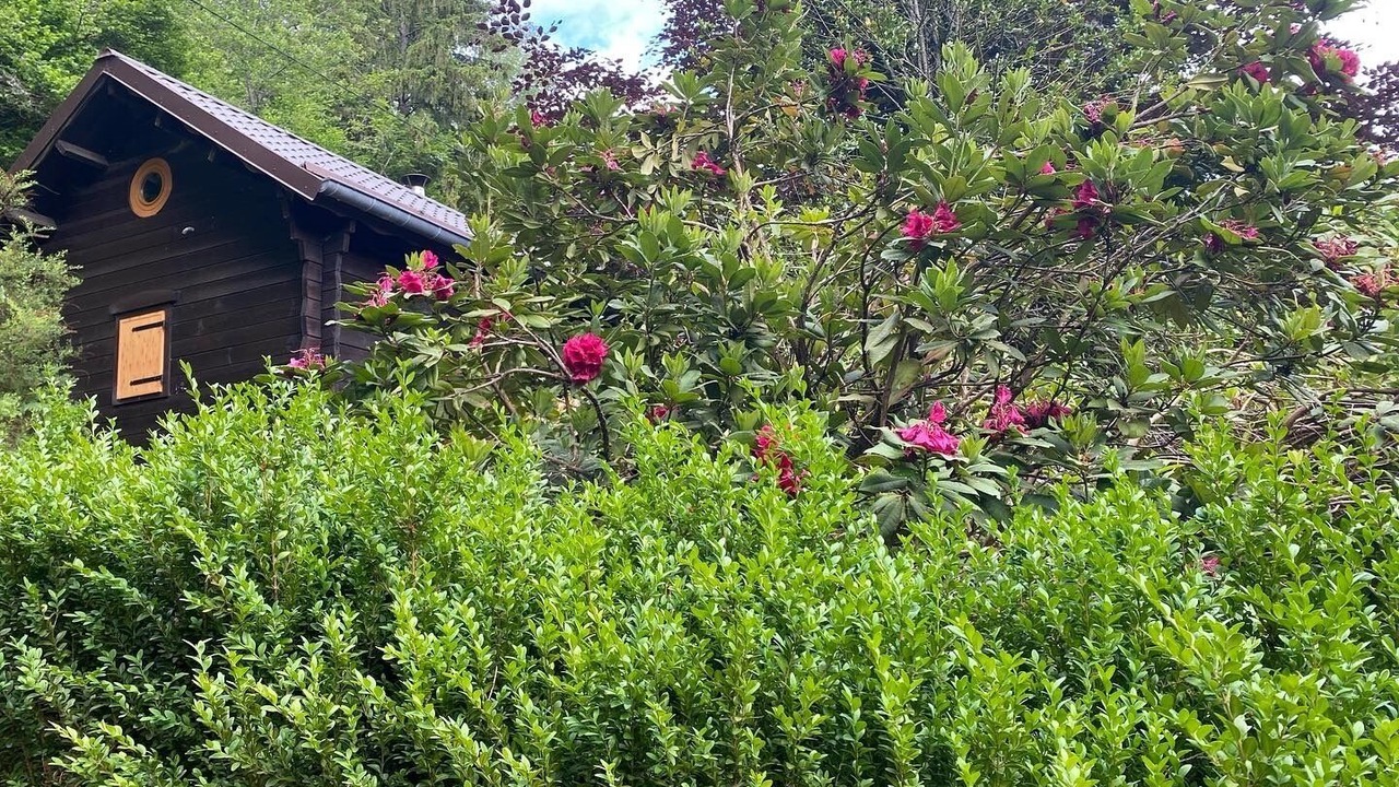 Photo of Outdoor in Natzwiller
