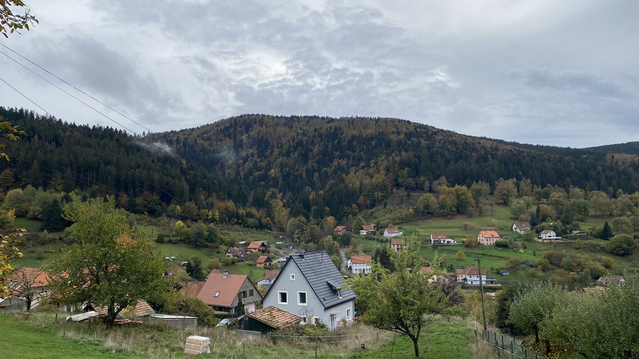 Photo of Outdoor in Natzwiller